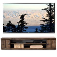 an entertainment center is shown with mountains in the back ground and trees to the side