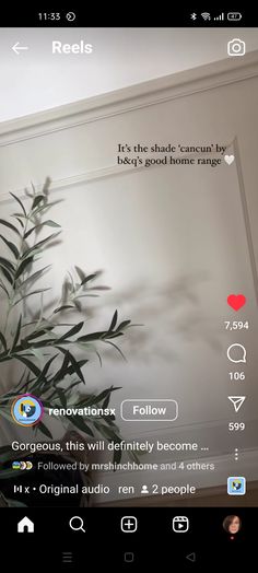 an image of a plant in front of a wall with the caption's on it