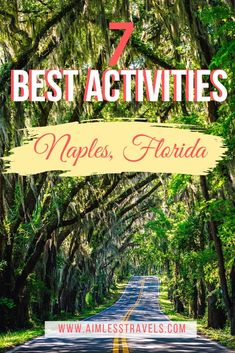 the road with trees and text that says 7 best activities in naples, florida