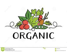 an organic logo with vegetables and leaves on the white background stock photo - image 3497