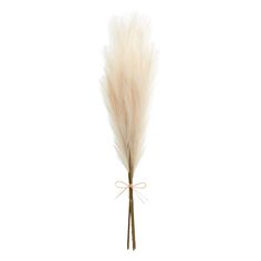 a white feather on a stick with a bow