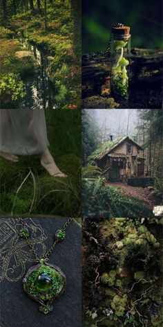 the collage shows several different scenes in green