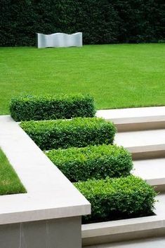 an outdoor garden with steps and bushes