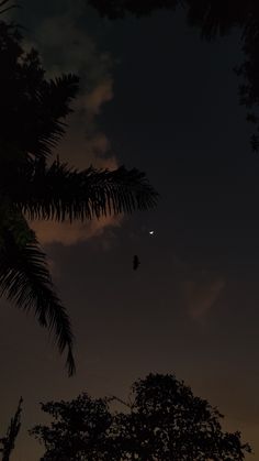 the moon is seen through some trees in the night sky with no one on it