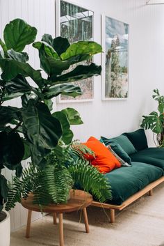 a living room filled with lots of green furniture and plants on top of it's tables