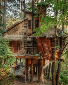 a tree house built into the side of a forest