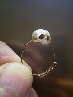 Strange Jewelry, Pearl Skull, Carved Pearl, Jewerly Designs, A Skull, Put A Ring On It, Skull Ring