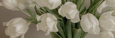 a vase filled with white flowers on top of a table