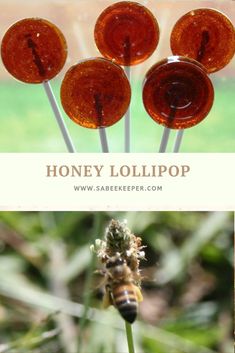 four honey lollipops sitting on top of each other with the words honey lollipop above them