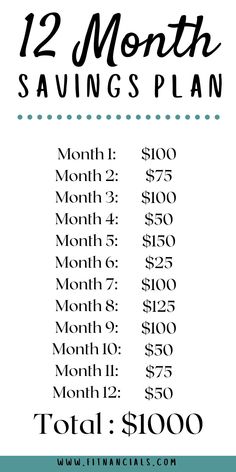 the 12 month savings plan is shown in black and white