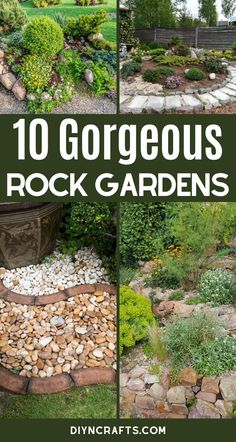 the top 10 gorgeous rock gardens for your backyard or garden area with text overlay that reads,'10 gorgeous rock gardens '