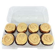 twelve cupcakes with frosting in a plastic container