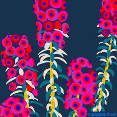 an image of flowers that are in the dark blue background with red and pink colors