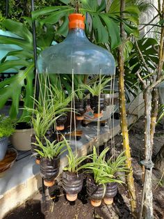 many potted plants are hanging from a light fixture in the middle of a garden