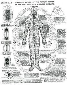 Polarity Therapy, Sacred Science, Spirit Science, Energy Medicine, Body Energy, Healing Modalities, Ancient Knowledge, Les Chakras, Chakra Meditation