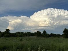 a large cloud is in the sky over a grassy field with trees and bushes on either side