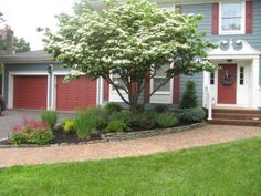 a house with red shutters and trees in the front yard