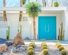 a blue door in front of a white house with cactus and rocks on the ground