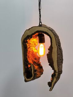 a piece of wood with a light bulb hanging from it's center and the inside of its mouth