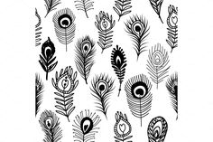 black and white peacock feathers on a white background