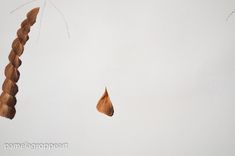 a single piece of wood that has been cut in half and is being held up to the sky