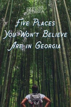 a man walking through a bamboo forest with the words five places you won't believe are in georgia