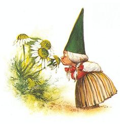 Gnomes Book, David The Gnome, Fairies Elves, Art Et Illustration, Dutch Artists, Gnome Garden, Woodland Creatures