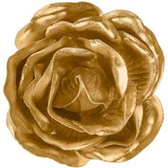 a golden rose is shown on a white background