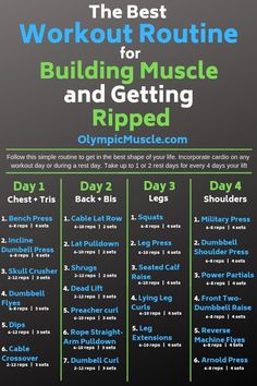 the best workout routine for building muscle and getting ripped