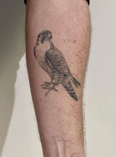 a small bird tattoo on the arm