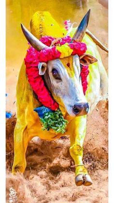 a painting of a bull with flowers on it's head