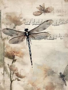 a dragonfly sitting on top of a piece of paper with music notes in the background