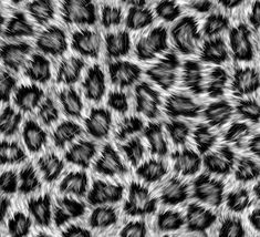 an animal print pattern with black and white colors