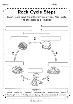 the rock cycle worksheet for kids to learn how to read and understand rocks