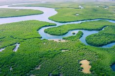 an aerial view of a river surrounded by lush green grass and trees in the distance