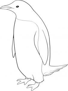 the outline of a penguin standing on one leg