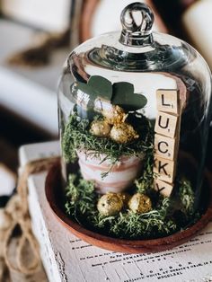 a glass clochet with moss and little balls in it sitting on top of a table