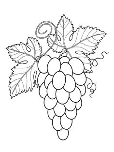 a bunch of grapes with leaves on the vine, coloring pages for adults and children