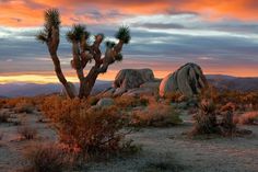 the sun is setting in the desert with rocks and cactus plants on the ground near by