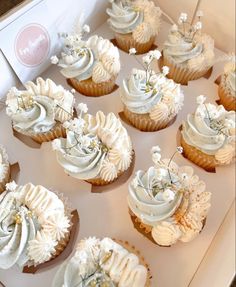 cupcakes with white frosting in a box