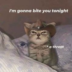 a cat wearing a cowboy hat on top of a bed with the caption i'm gona bite you tonight