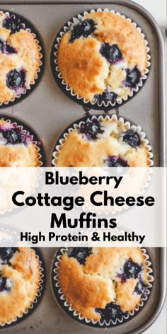 blueberry cottage cheese muffins with high protein and healthy filling in a muffin tin