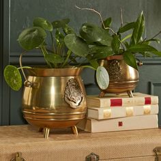 two brass vases with plants in them sitting on top of some books and luggage