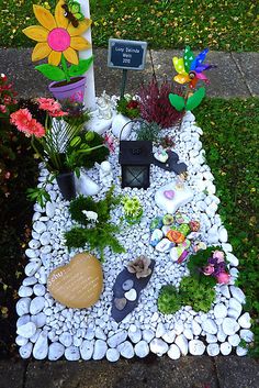 a small garden with flowers and rocks on the ground