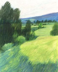 a pencil drawing of a green field with trees