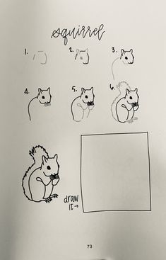 a drawing of squirrels and other animals on a piece of paper with the words squirrel drawn