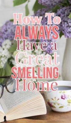 Smell Good House, Carpet Smell, Make Your Home Smell Amazing, Potpourri Recipes, Diy Air Freshener, Laundry Stains