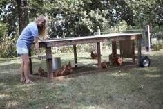 a woman standing next to a wooden table filled with chickens in a yard near trees