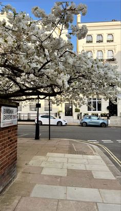 a tree with white flowers in front of a brick building on a city street corner