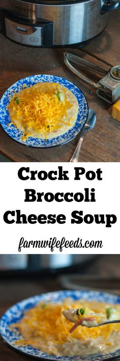 crock pot broccoli cheese soup in a blue and white plate on a wooden table